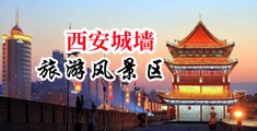 啊啊啊啊啊痛太大了视频中国陕西-西安城墙旅游风景区