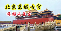 黑人大鸡巴狠插小穴视频中国北京-东城古宫旅游风景区